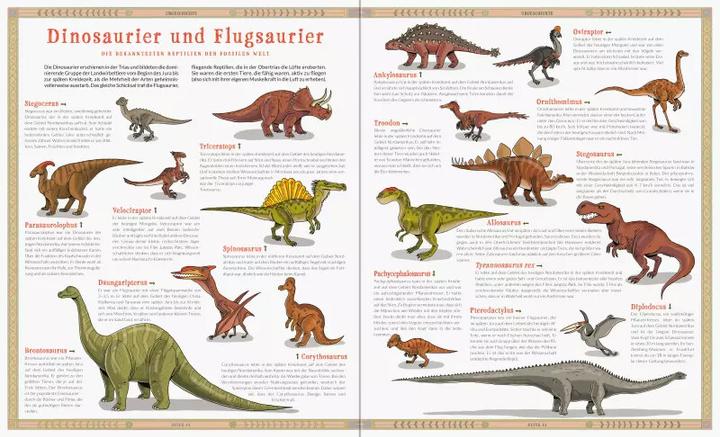 Produktbild Ravensburger Ausgestorben - Das Buch der verschwundenen Tiere (Deutsch, Katarzyna Gladysz, Joanna Wajs, 2020)