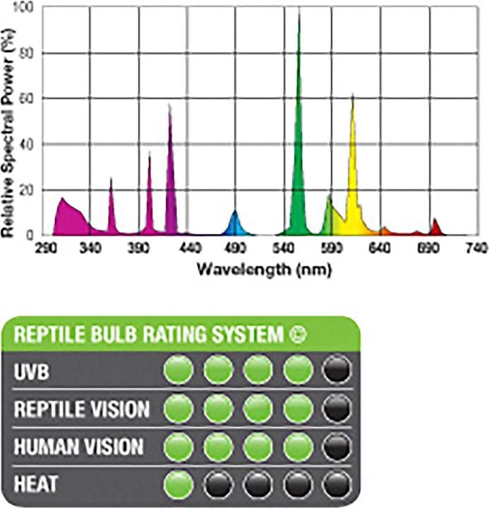 Image du produit Exo Terra Tube fluorescent compact Repti Glo 10.0 26W (UVB)