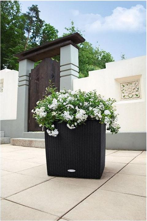 Produktbild Lechuza Cube Cottage (49 cm)
