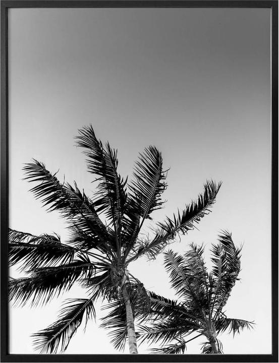 Actual product image Trenddeko Palm trees in storm (40 x 50 cm)
