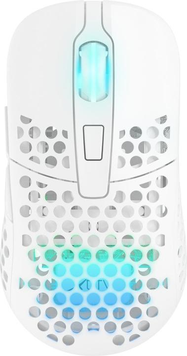 CHERRY xtrfy M42 Wireless Gaming Mouse, RGB (Wireless)