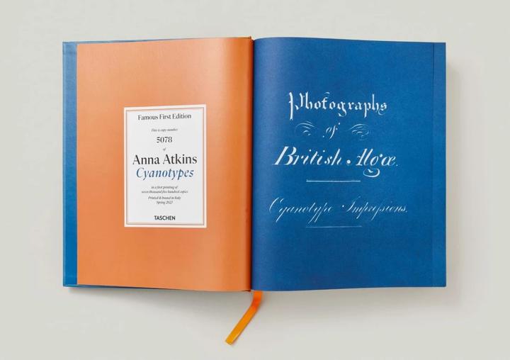 Produktbild Anna Atkins. Cyanotypes (Englisch, Französisch, Deutsch, Walther, Peter, 2023)