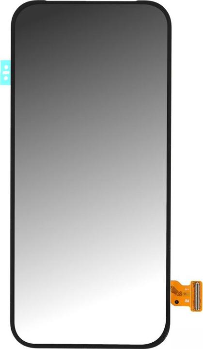 Produktbild Google Display Pixel 9 Pro G949-01011-00 (Display, Google Pixel 9 Pro)