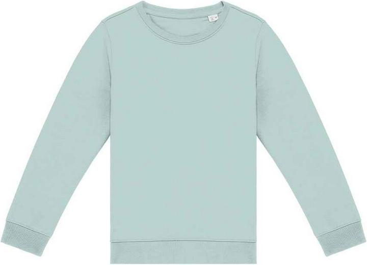Native Spirit Sweatshirt (158, 164)