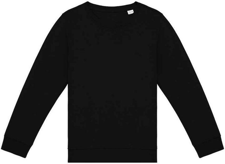 Native Spirit Sweatshirt