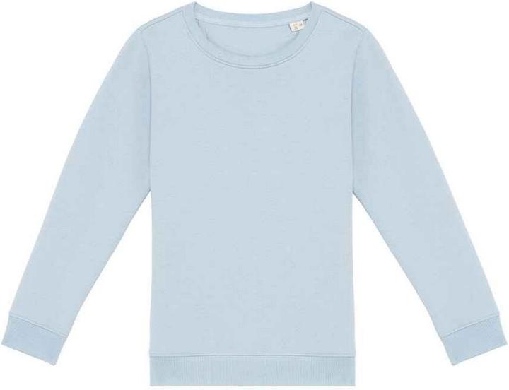 Native Spirit Sweatshirt
