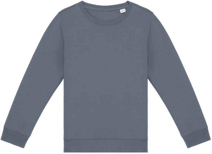 Native Spirit Sweatshirt