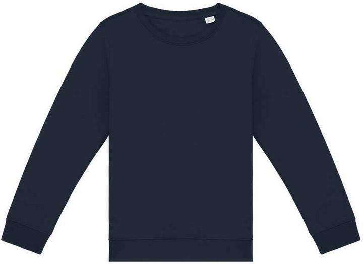 Native Spirit Sweatshirt