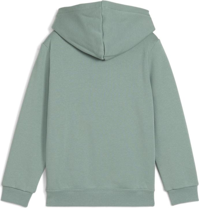 Actual product image Puma ESS No. 1 Logo Hoodie FL PS (104)