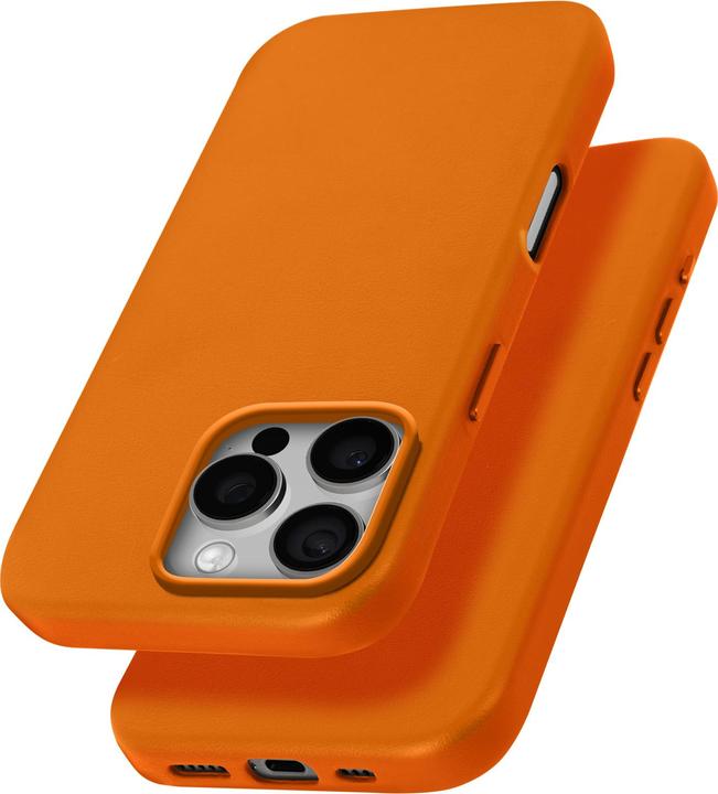 Produktbild Avizar MagSafe Elegance Case (Apple iPhone 16 Pro Max)