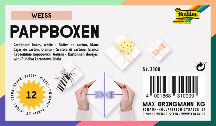 Produktbild Folia Geschenkboxen (Geschenkbox, 12 x)