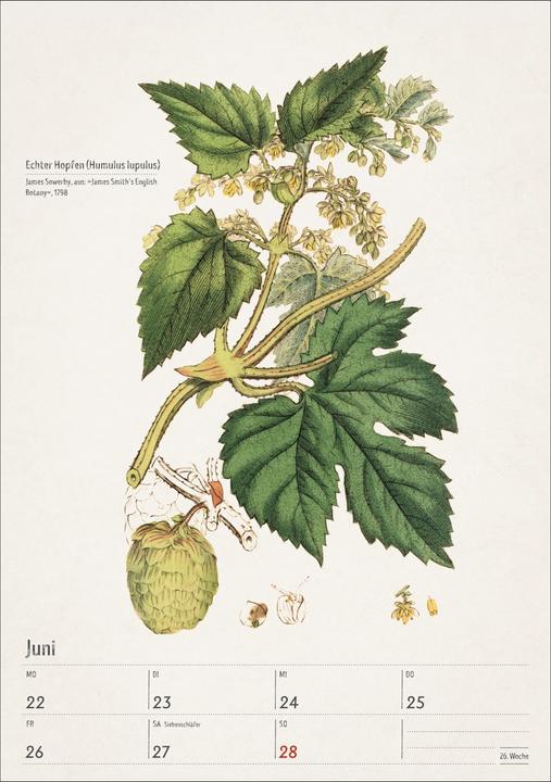 Actual product image Harenberg Bunte Pflanzenwelt Wochenplaner 2026 - 53 historische Illustrationen (Hardcover, German)