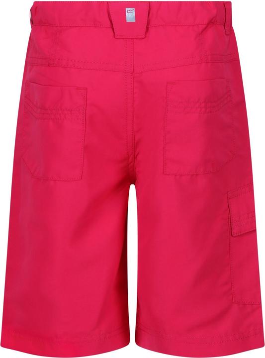 Actual product image Regatta Childrens/Kids Sorcer II Shorts (170)