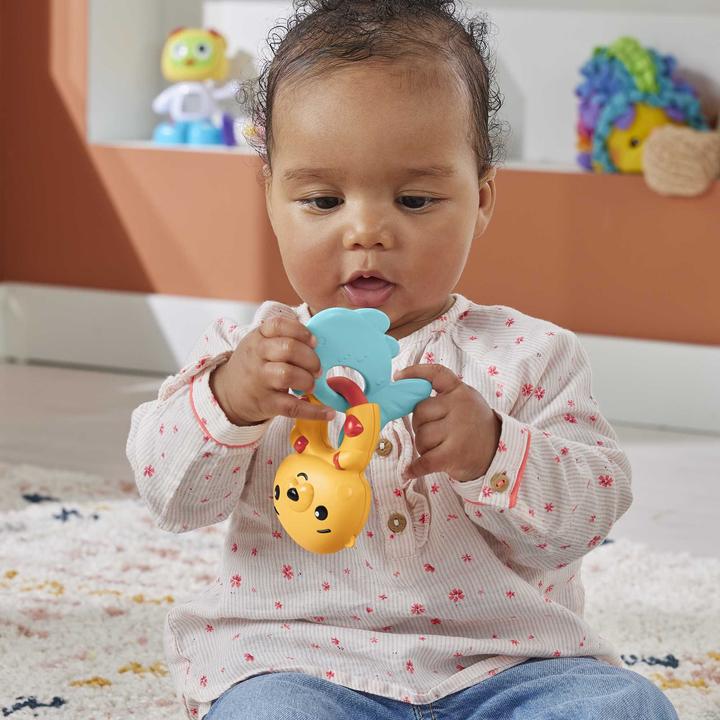 Actual product image Fisher-Price Animal activity teething rings assorted