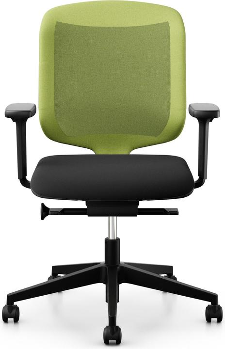 Giroflex 434-3019-C2G Grün mit Armlehnen