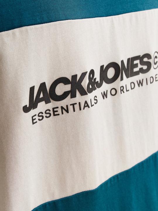 Actual product image Jack & Jones Jjelegacy Blocking Tee Ss O-Neck Noos (XS)