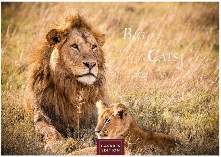 Produktbild Big Cats 2026 S 24x35cm (24 x 35 cm, Deutsch)