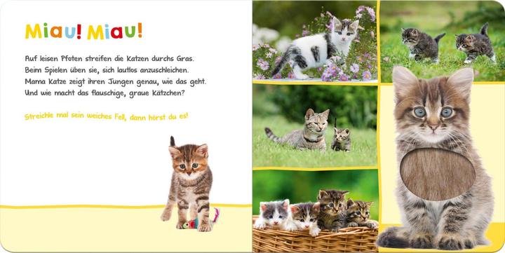Actual product image Listen, who could that be? Favorite Animals (German)
