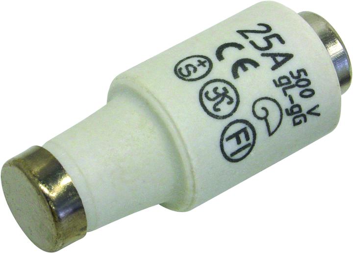 Image du produit Steffen Fusibles (Sécurité des cylindres, 25 A, Paresseux)