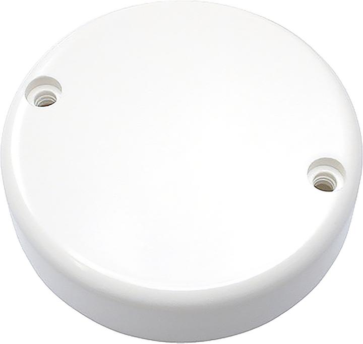 Steffen Rosa da soffitto