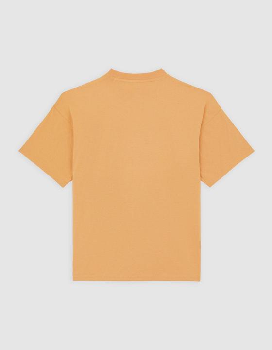 Image du produit Dickies Enterprise Tee Ss Oak Buff (L)