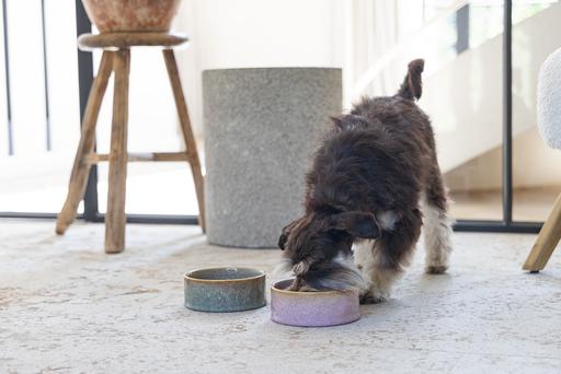Actual product image Designed by Lotte Jace dog bowl (0.70 l)