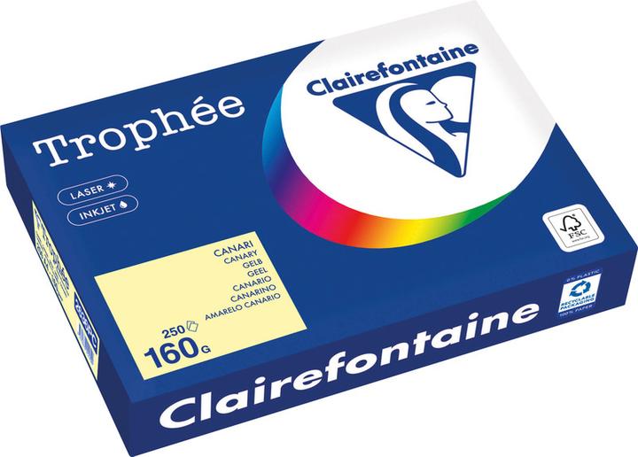 Actual product image Clairefontaine Universal paper Trophée coloured (160 g/m², 250 x, A4)