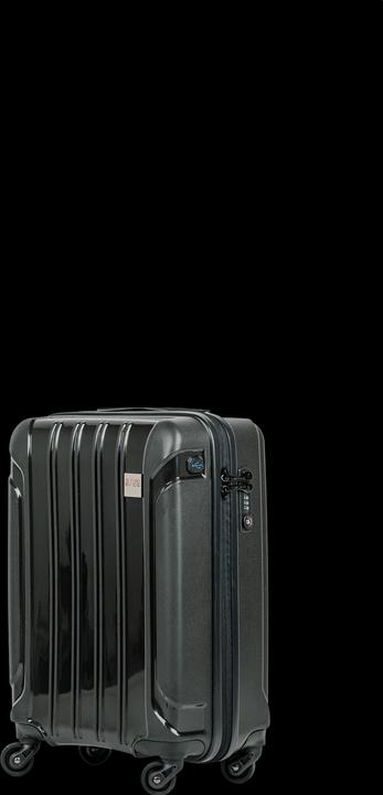 Swissbags Tourist (40 l, Handgepäck (bis 50l))