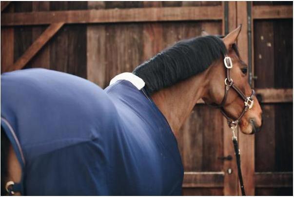 Immagine prodotto Kentucky Horsewear Tappeto in pile più fresco (155 cm)