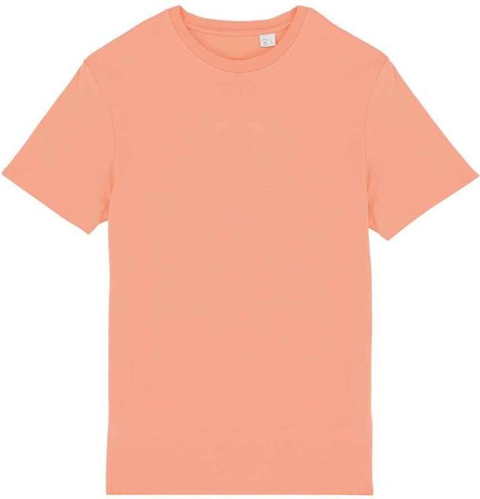 Native Spirit TShirt