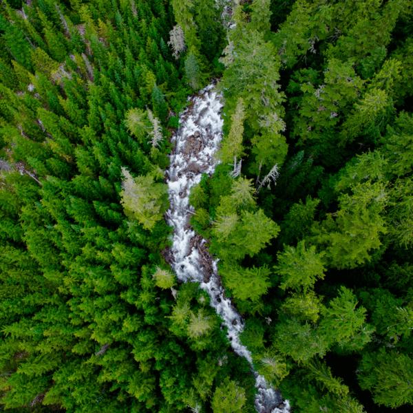 Image du produit PolarPro Filtre de la série standard (DJI Mavic Pro)