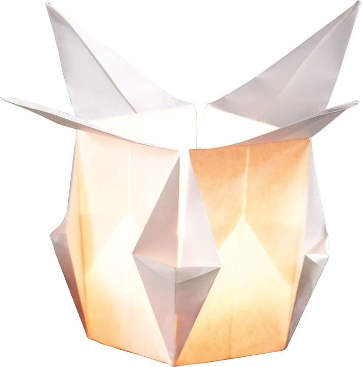 Produktbild Folia Faltblätter aus Lichterpapier (80 g/m², 12 x)