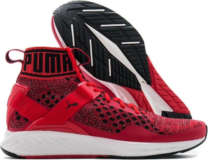 Produktbild Puma Ignite EvoKNIT (42.5)