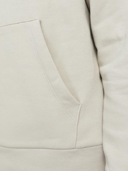 Actual product image Jack & Jones Jjecorp Logo Sweat Hood Noos Pls (3XL)