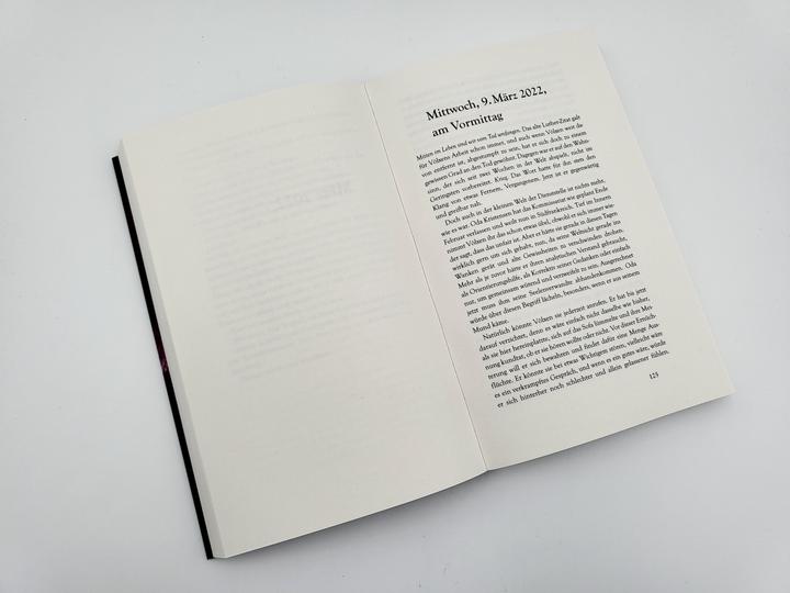 Produktbild Alle sehen dich (Deutsch, Susanne Mischke, 2023)