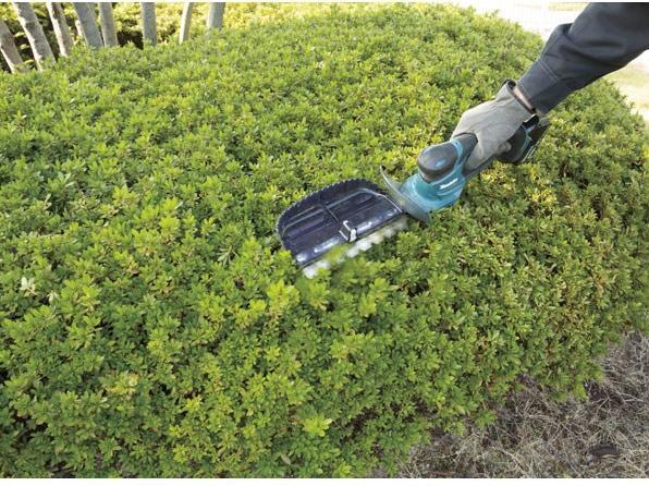 Productafbeelding Makita Dum604zx (Draadloze heggenschaar)
