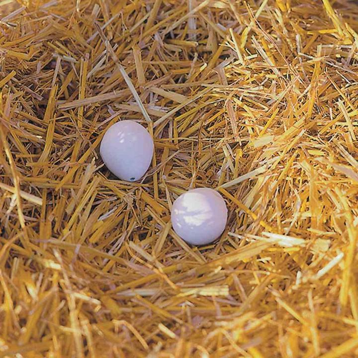 Produktbild Kerbl Nesteier aus Ton für Hühner (2 Stck. Blister)