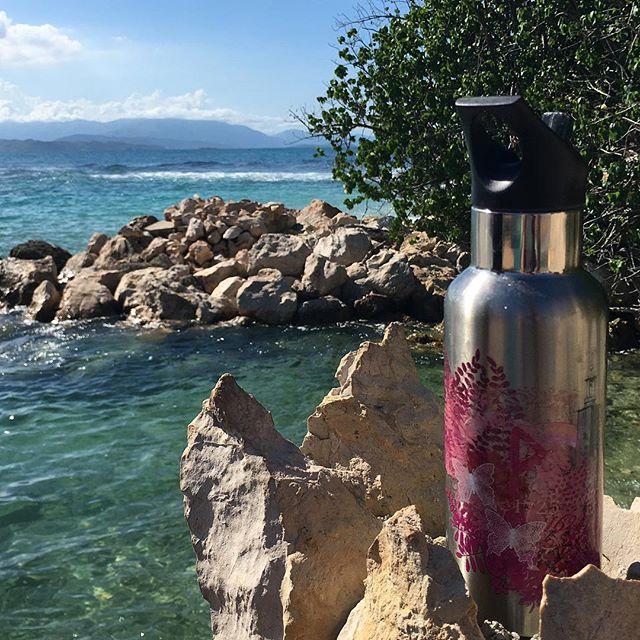 Immagine prodotto Carl Oscar Thermos in acciaio inox Wisdom TEMPflask 500ml Rosa (0.50 l)