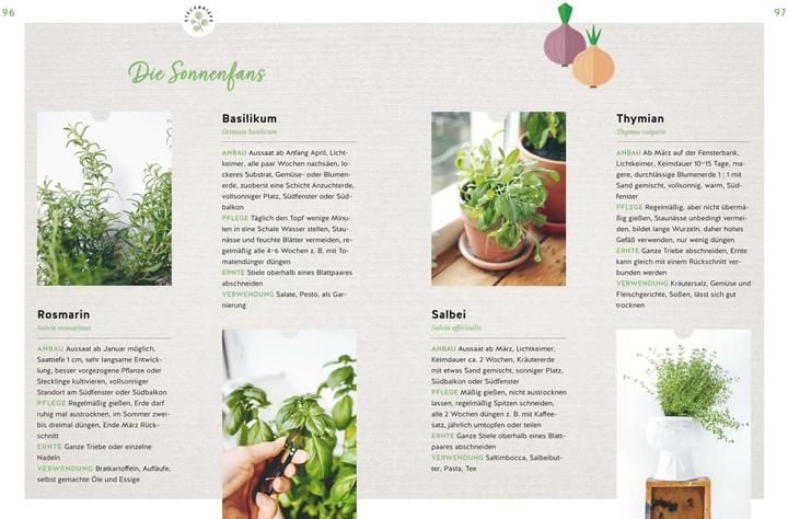 Productafbeelding Deine Fensterbank kann Garten! (Duits, Annemarie Imgrund, 2023)