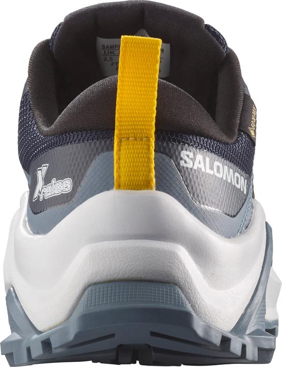 Image du produit Salomon X Raise GTX (36)