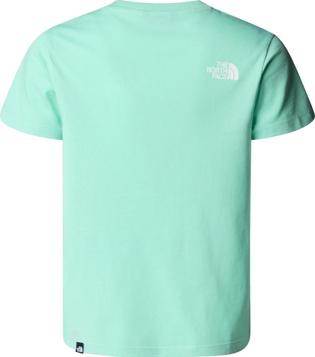 Actual product image North Face Teen Simple Dome (S)