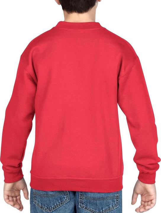Actual product image Gildan Sweatshirt With Crew Neck (Pack of 2) (L)