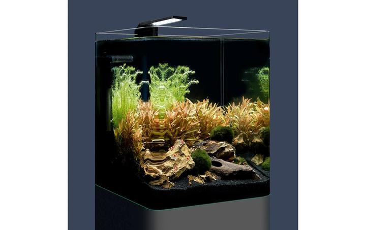Image du produit Dennerle Nano Cube Basic 20l (20 l)