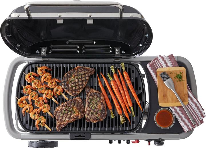 Produktbild Weber Traveler (3.80 kW)
