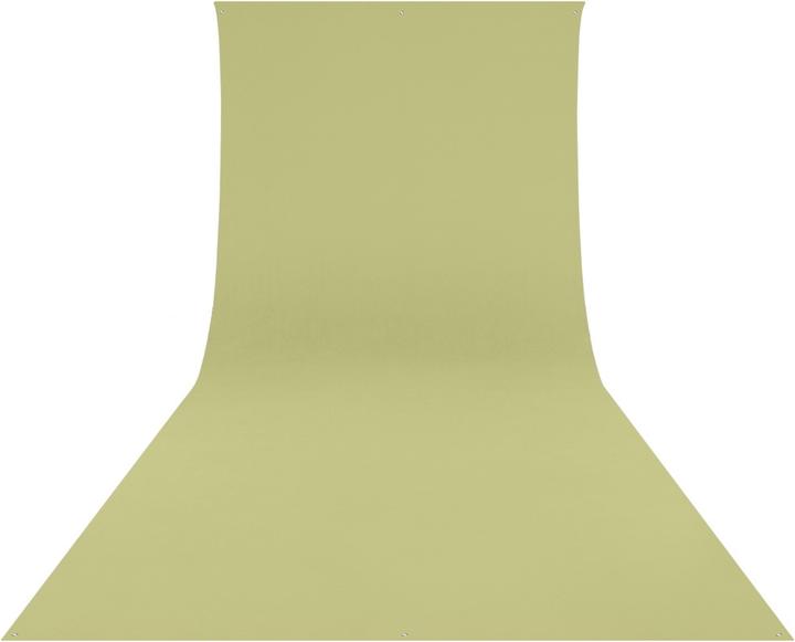 Image du produit Westcott Toile de fond résistante aux frottements Vert mousse clair (9' x 10') (270 cm, 300 cm)