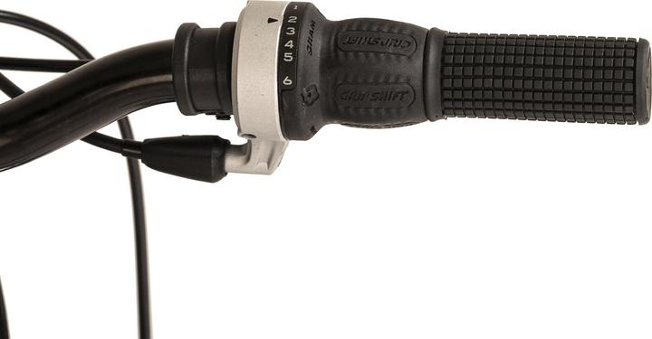 Actual product image Wyld Zodiac 20 (20")
