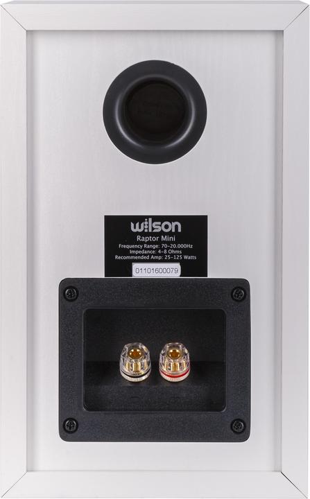 Image du produit Wilson Raptor Mini (1 paire)