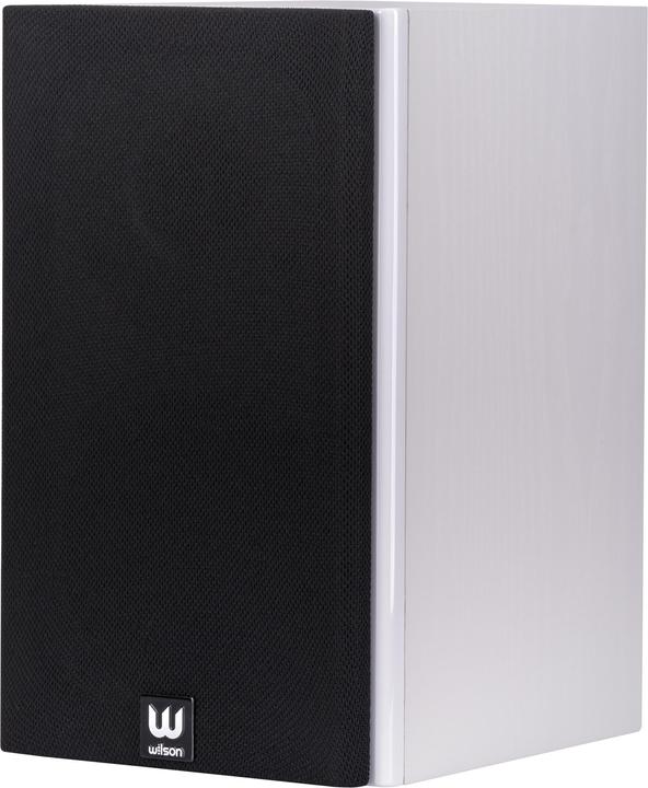 Image du produit Wilson Raptor Mini (1 paire)