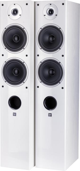 Wilson Raptor 7 (1 Paar)