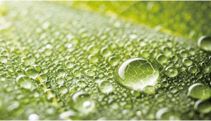 Produktbild Meike 85 mm 2.8 Macro Lens Nikon Z (Nikon Z, APS-C / DX, Vollformat)